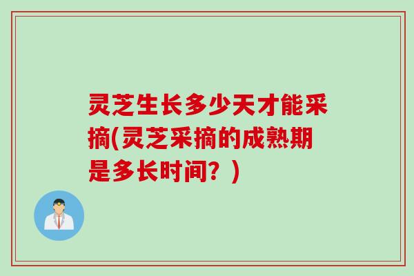 灵芝生长多少天才能采摘(灵芝采摘的成熟期是多长时间？)