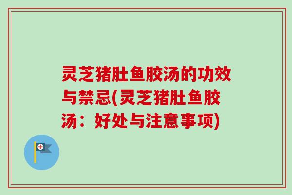 灵芝猪肚鱼胶汤的功效与禁忌(灵芝猪肚鱼胶汤：好处与注意事项)