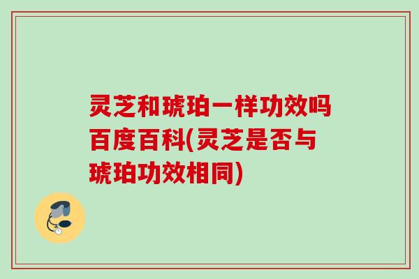 灵芝和琥珀一样功效吗百度百科(灵芝是否与琥珀功效相同)