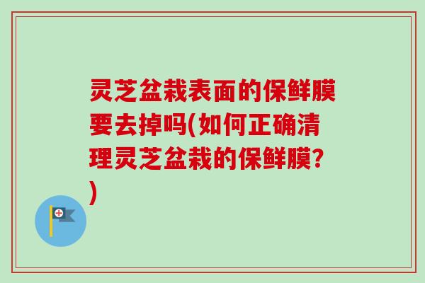 灵芝盆栽表面的保鲜膜要去掉吗(如何正确清理灵芝盆栽的保鲜膜?) 灵芝盆栽表面的保鲜膜要去掉吗(如何正确清理灵芝盆栽的保鲜膜?)