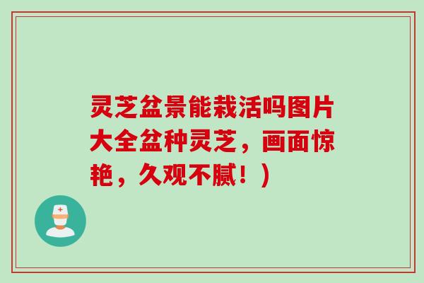 灵芝盆景能栽活吗图片大全盆种灵芝,画面惊艳,久观不腻!) 灵芝盆景能栽活吗图片大全盆种灵芝,画面惊艳,久观不腻!)