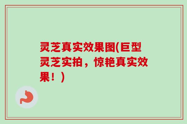 灵芝真实效果图(巨型灵芝实拍，惊艳真实效果！)