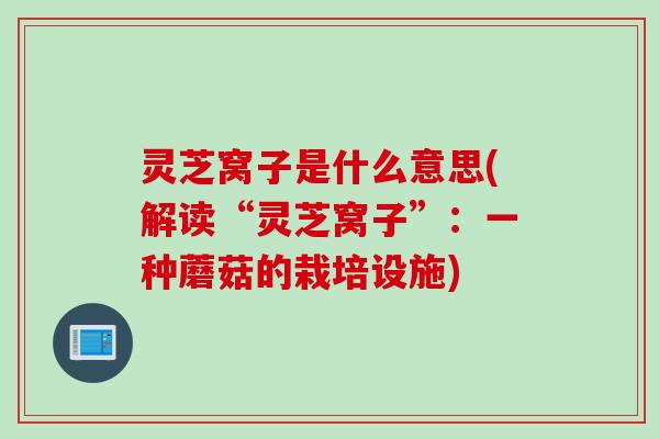 灵芝窝子是什么意思(解读“灵芝窝子”：一种蘑菇的栽培设施)
