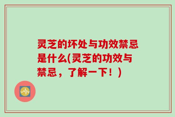 灵芝的坏处与功效禁忌是什么(灵芝的功效与禁忌,了解一下!) 灵芝的坏处与功效禁忌是什么(灵芝的功效与禁忌,了解一下!)