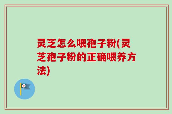 灵芝怎么喂孢子粉(灵芝孢子粉的正确喂养方法)