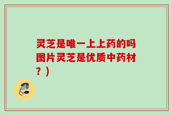 灵芝是上上药的吗图片灵芝是优质材?) 灵芝是上上药的吗图片灵芝是优质材?)