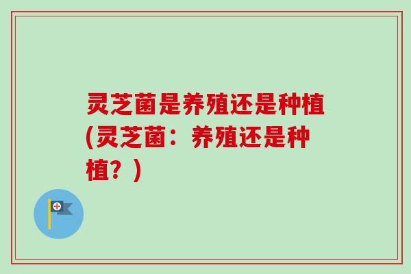 灵芝菌是养殖还是种植(灵芝菌:养殖还是种植?) 灵芝菌是养殖还是种植(灵芝菌:养殖还是种植?)