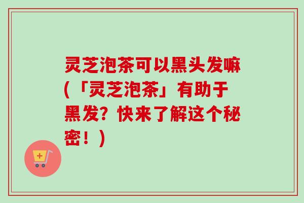 灵芝泡茶可以黑头发嘛(「灵芝泡茶」有助于黑发?快来了解这个秘密!) 灵芝泡茶可以黑头发嘛(「灵芝泡茶」有助于黑发?快来了解这个秘密!)