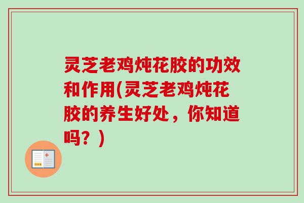 灵芝老鸡炖花胶的功效和作用(灵芝老鸡炖花胶的养生好处，你知道吗？)