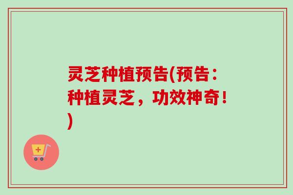 灵芝种植预告(预告：种植灵芝，功效神奇！)