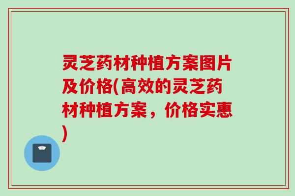灵芝药材种植方案图片及价格(高效的灵芝药材种植方案，价格实惠)