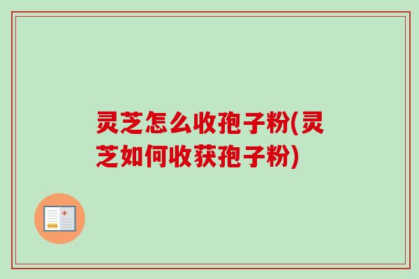 灵芝怎么收孢子粉(灵芝如何收获孢子粉)