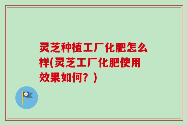 灵芝种植工厂化肥怎么样(灵芝工厂化肥使用效果如何？)
