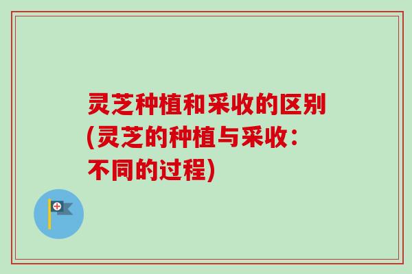 灵芝种植和采收的区别(灵芝的种植与采收：不同的过程)