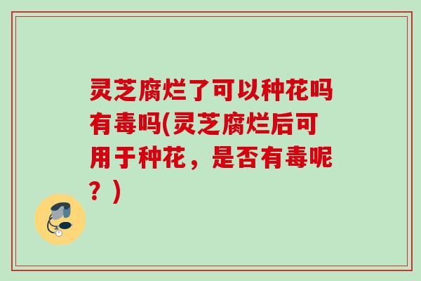 灵芝腐烂了可以种花吗有毒吗(灵芝腐烂后可用于种花，是否有毒呢？)
