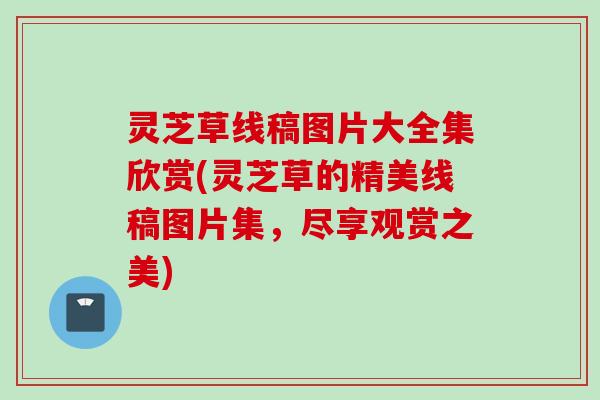 灵芝草线稿图片大全集欣赏(灵芝草的精美线稿图片集，尽享观赏之美)