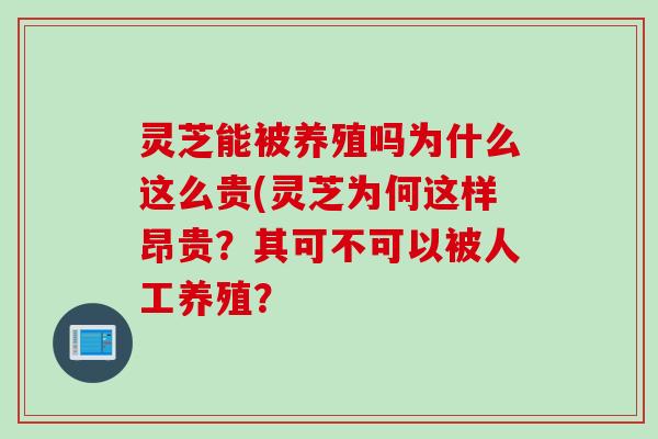 灵芝能被养殖吗为什么这么贵(灵芝为何这样昂贵？其可不可以被人工养殖？
