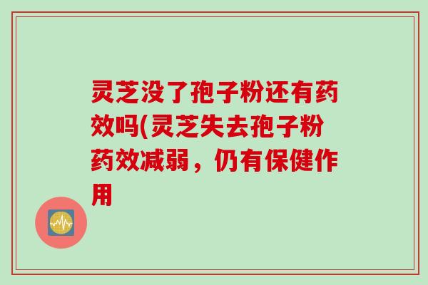 灵芝没了孢子粉还有药效吗(灵芝失去孢子粉药效减弱，仍有保健作用