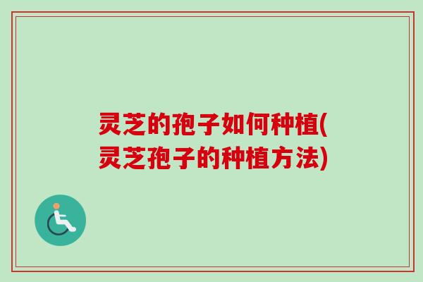 灵芝的孢子如何种植(灵芝孢子的种植方法)