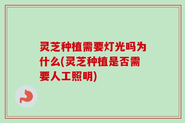 灵芝种植需要灯光吗为什么(灵芝种植是否需要人工照明)