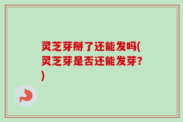灵芝芽掰了还能发吗(灵芝芽是否还能发芽？)