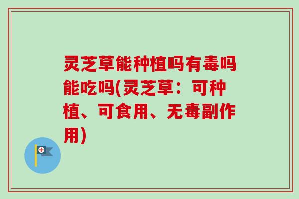 灵芝草能种植吗有毒吗能吃吗(灵芝草:可种植、可食用、无毒副作用) 灵芝草能种植吗有毒吗能吃吗(灵芝草:可种植、可食用、无毒副作用)