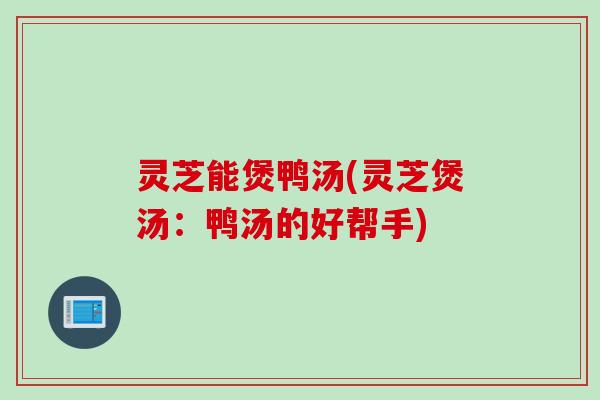 灵芝能煲鸭汤(灵芝煲汤:鸭汤的好帮手) 灵芝能煲鸭汤(灵芝煲汤:鸭汤的好帮手)