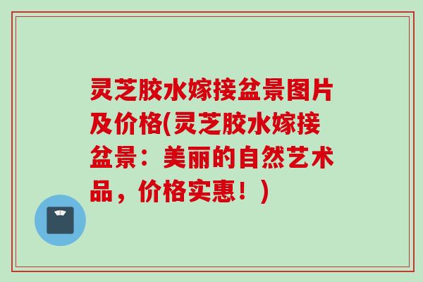 灵芝胶水嫁接盆景图片及价格(灵芝胶水嫁接盆景：美丽的自然艺术品，价格实惠！)