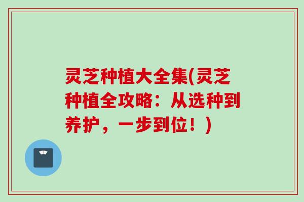 灵芝种植大全集(灵芝种植全攻略:从选种到养护,一步到位!) 灵芝种植大全集(灵芝种植全攻略:从选种到养护,一步到位!)