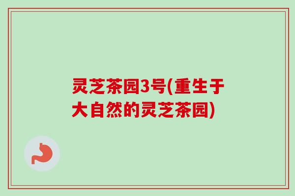 灵芝茶园3号(重生于大自然的灵芝茶园)
