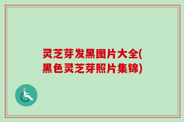 灵芝芽发黑图片大全(黑色灵芝芽照片集锦)