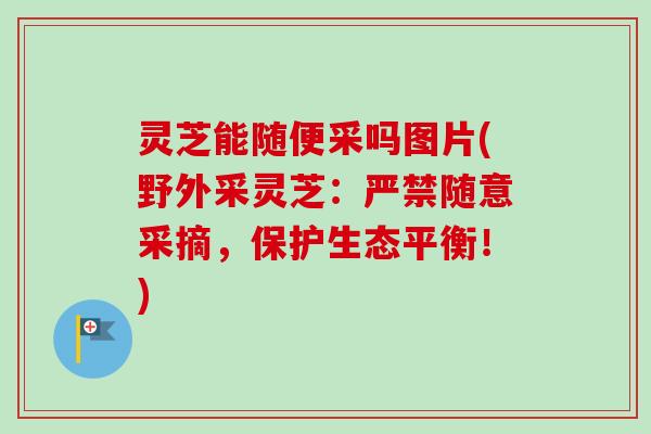 灵芝能随便采吗图片(野外采灵芝：严禁随意采摘，保护生态平衡！)