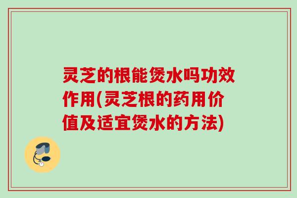 灵芝的根能煲水吗功效作用(灵芝根的药用价值及适宜煲水的方法)