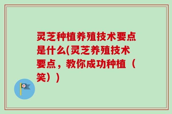灵芝种植养殖技术要点是什么(灵芝养殖技术要点,教你成功种植(笑)) 灵芝种植养殖技术要点是什么(灵芝养殖技术要点,教你成功种植(笑))