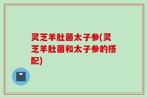 灵芝羊肚菌太子参(灵芝羊肚菌和太子参的搭配) 灵芝羊肚菌太子参(灵芝羊肚菌和太子参的搭配)