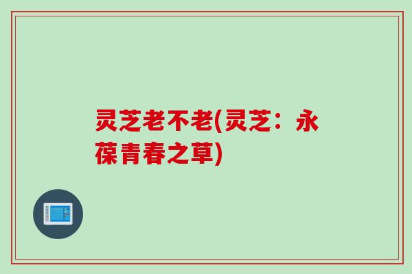 灵芝老不老(灵芝:永葆青春之草) 灵芝老不老(灵芝:永葆青春之草)