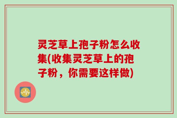 灵芝草上孢子粉怎么收集(收集灵芝草上的孢子粉，你需要这样做)