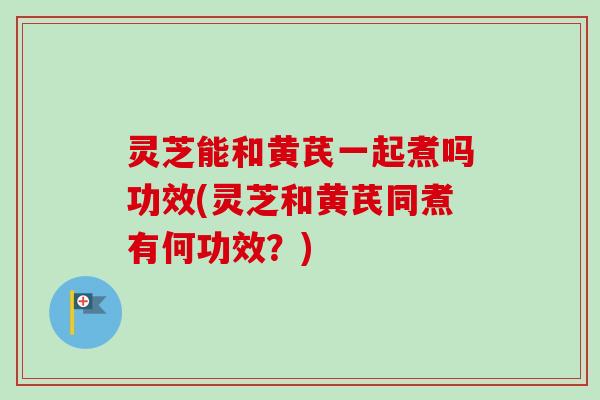 灵芝能和黄芪一起煮吗功效(灵芝和黄芪同煮有何功效？)