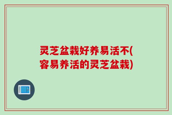 灵芝盆栽好养易活不(容易养活的灵芝盆栽)