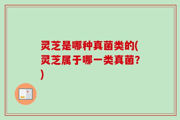 灵芝是哪种真菌类的(灵芝属于哪一类真菌？)