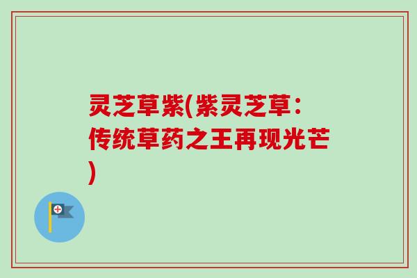 灵芝草紫(紫灵芝草：传统草药之王再现光芒)