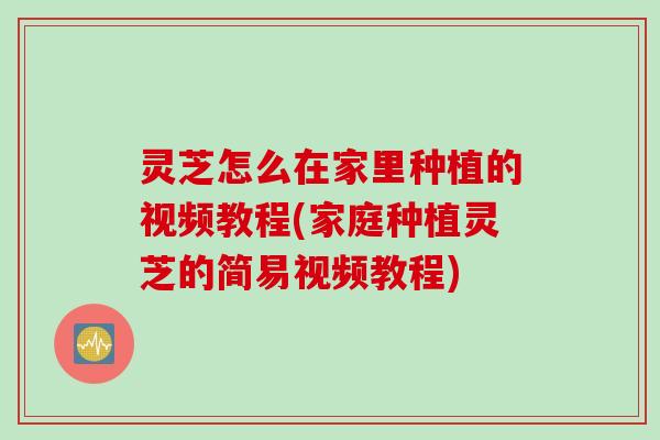 灵芝怎么在家里种植的视频教程(家庭种植灵芝的简易视频教程)