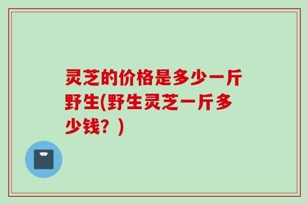 灵芝的价格是多少一斤野生(野生灵芝一斤多少钱？)