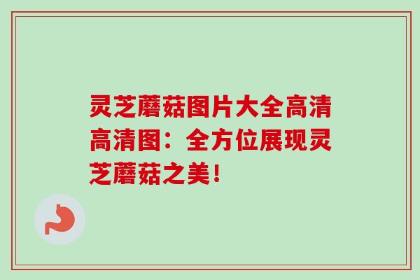 灵芝蘑菇图片大全高清高清图：全方位展现灵芝蘑菇之美！