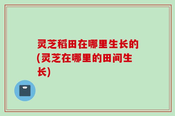 灵芝稻田在哪里生长的(灵芝在哪里的田间生长)