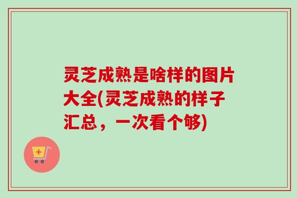 灵芝成熟是啥样的图片大全(灵芝成熟的样子汇总,一次看个够) 灵芝成熟是啥样的图片大全(灵芝成熟的样子汇总,一次看个够)