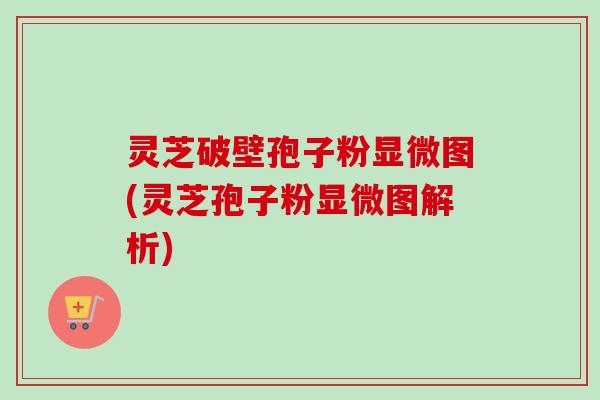 灵芝破壁孢子粉显微图(灵芝孢子粉显微图解析)