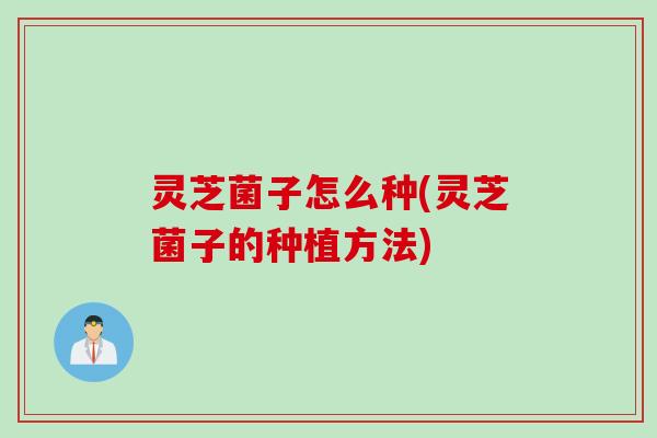 灵芝菌子怎么种(灵芝菌子的种植方法) 灵芝菌子怎么种(灵芝菌子的种植方法)