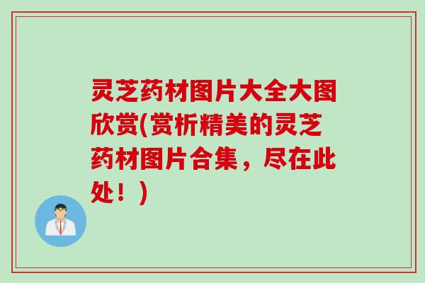 灵芝药材图片大全大图欣赏(赏析精美的灵芝药材图片合集，尽在此处！)