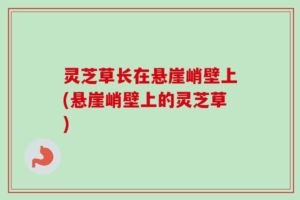 灵芝草长在悬崖峭壁上(悬崖峭壁上的灵芝草) 灵芝草长在悬崖峭壁上(悬崖峭壁上的灵芝草)